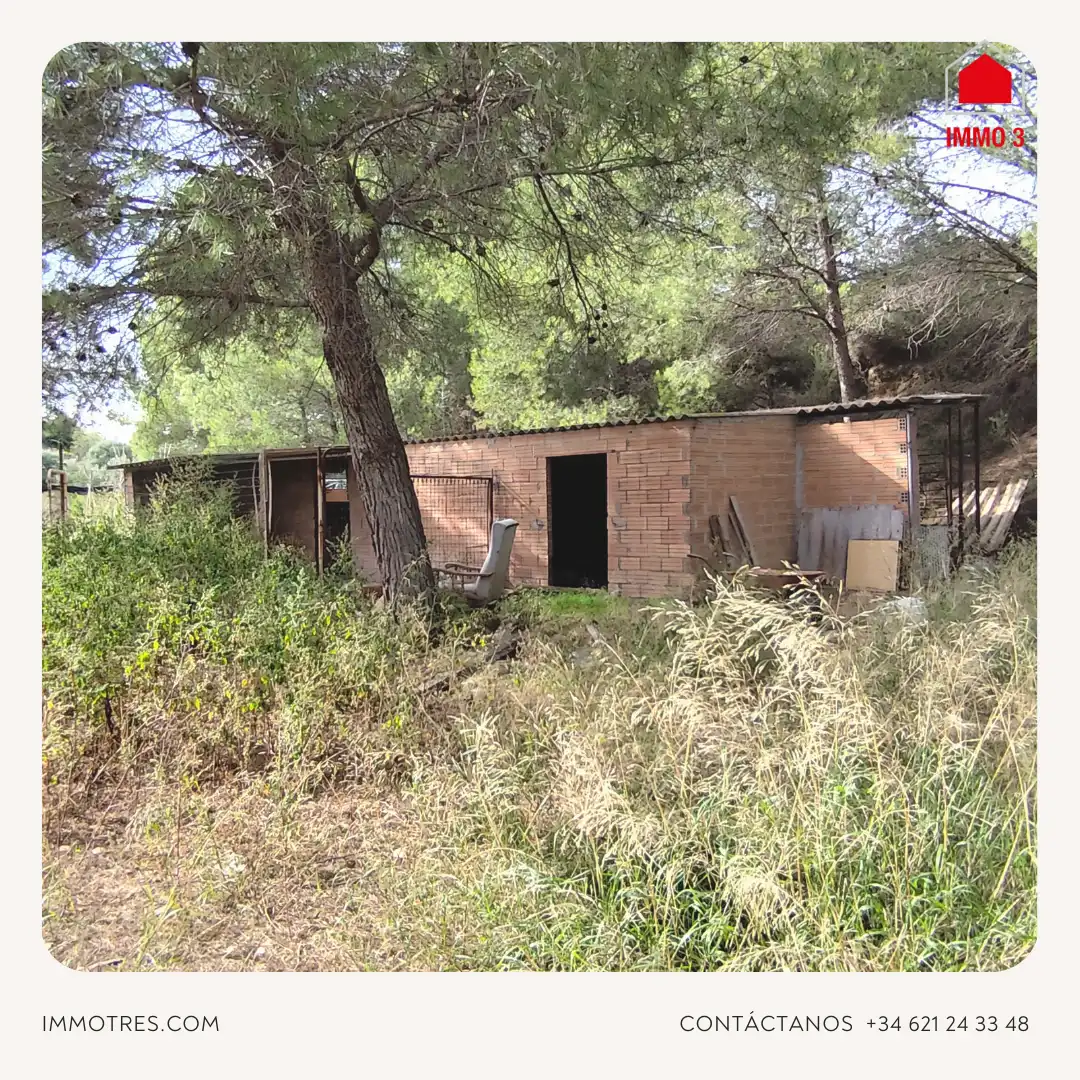 Vista exterior de Finca rústica en venta en Masquefa