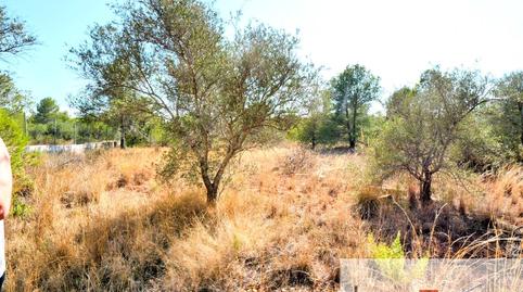 Photo 5 of House or chalet for sale in Los Pinares - La Masia, Valencia