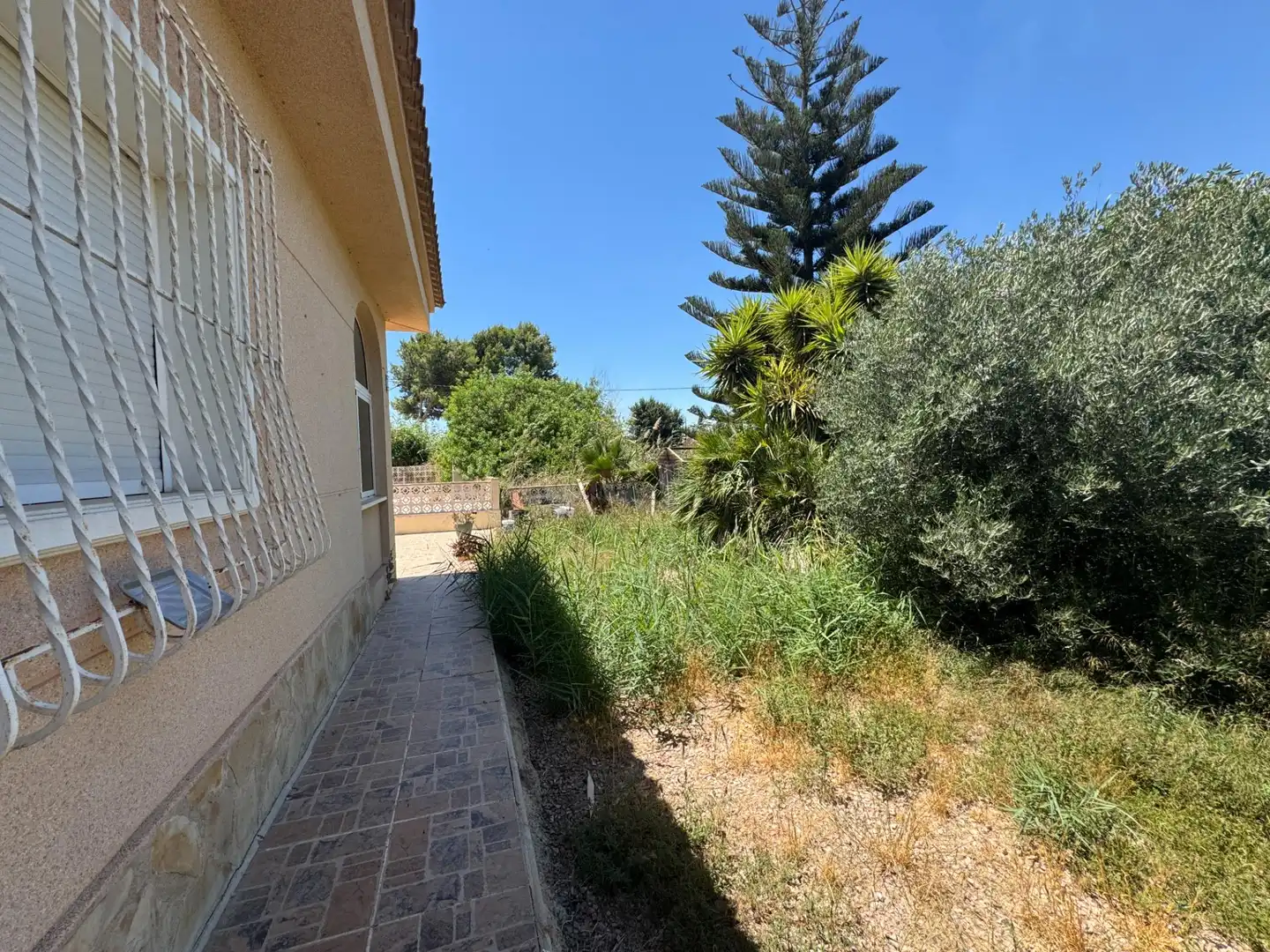 Garden of Residential for sale in Dolores