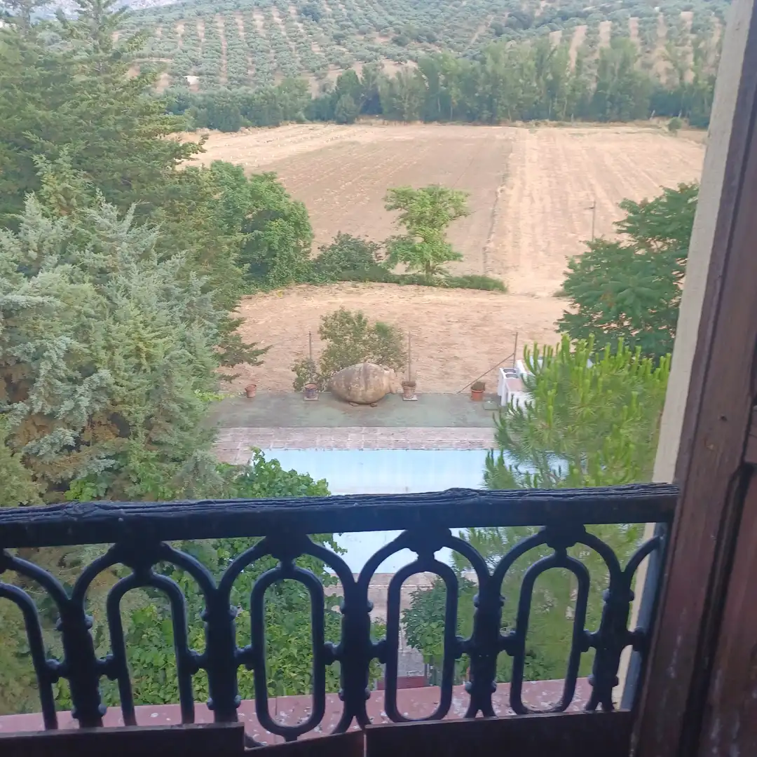 Jardín de Finca rústica en venta en Villanueva del Rosario con Jardín privado, Terraza y Trastero
