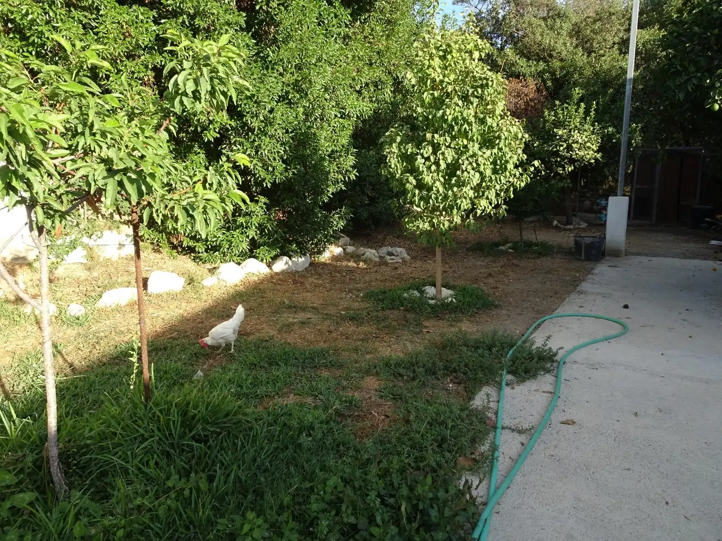 Casa rústica con piscina en venta en Nueva Aljaima - Las Tres Leguas - Los Mondeños, imagen 50