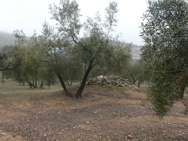 Terrain rustique à vendre à Peligros