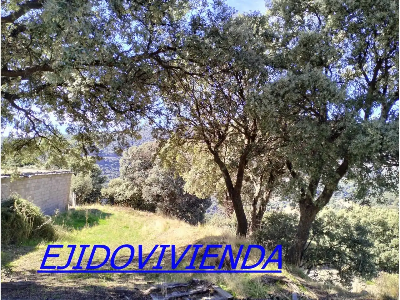 Terreno en venta en Bayárcal