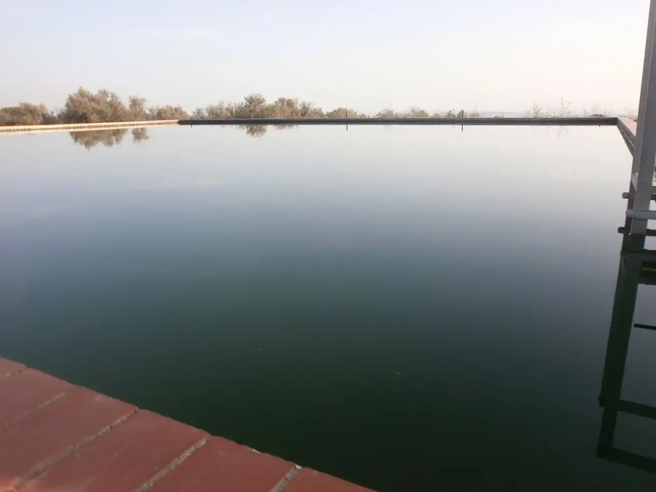 Swimming pool of Land for sale in Castellvell del Camp