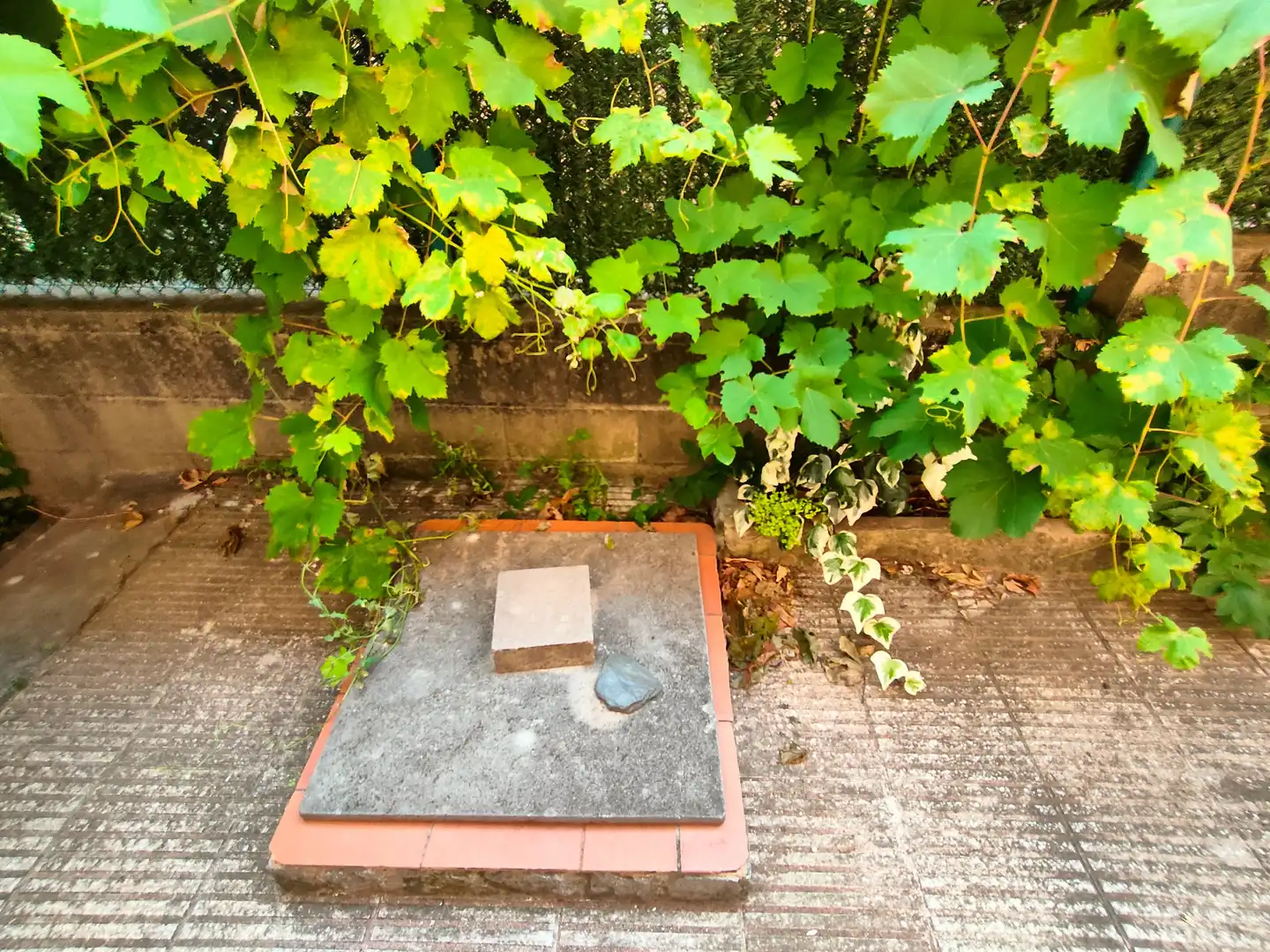 Vista exterior de Casa o xalet en venda en Girona amb Calefacció, Jardí privat i Terrassa