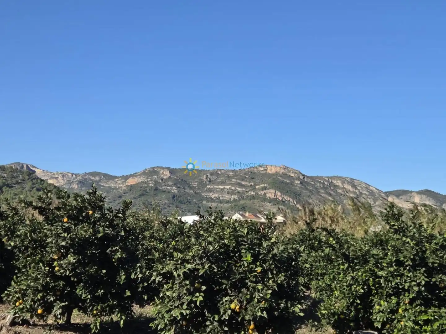Finca rústica en venta en Xeraco con Jardín privado, Terraza y Trastero