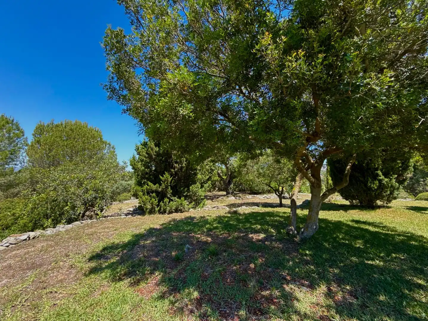 Villa con piscina in vendita a Jesús Pobre, imagen 17