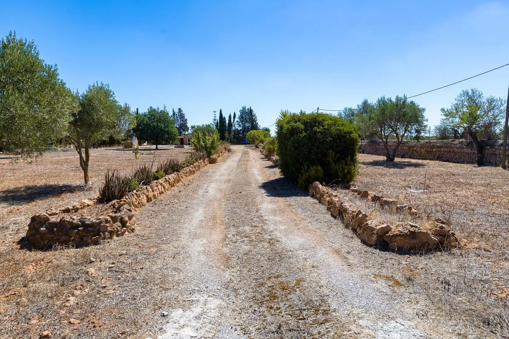 Rustikales Grundstück zum Verkauf in Llucmajor pueblo, imagen 43