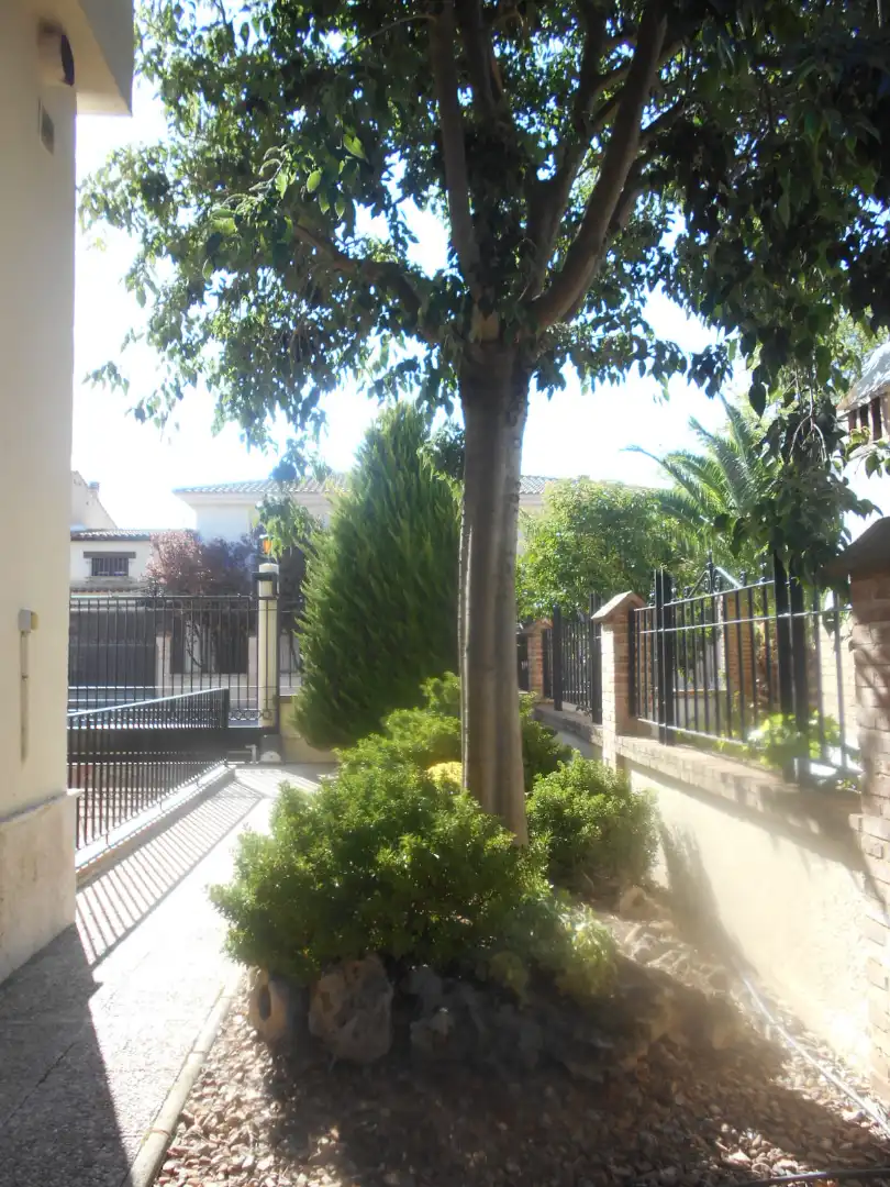House with terrace for sale in Calle Parque Nacional de las Cañadas del Teide, imagen 72