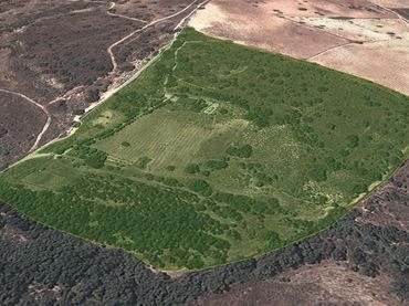 Terreno rustico in vendita a Carretera de Madrid 20