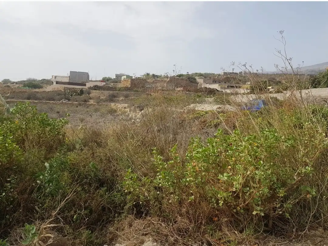 Rural land for sale in Calle Tambora de Abajo 44, imagen 18