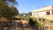 Residential for sale in Monteolivete - Camino Sevilla, imagen 2