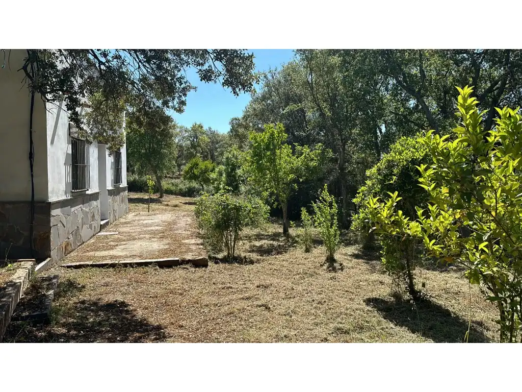 Casa rústica en venda a Poligono 56 Paraje 172 Cerro Caldera, imagen 15