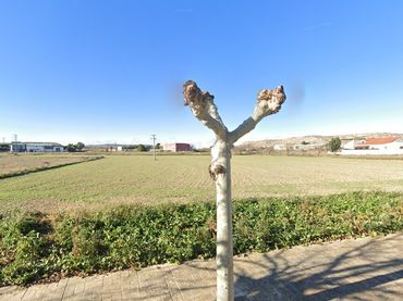 Terrenos y solares en venta en UE.-3 PGOU MAGALLON, PG. 1