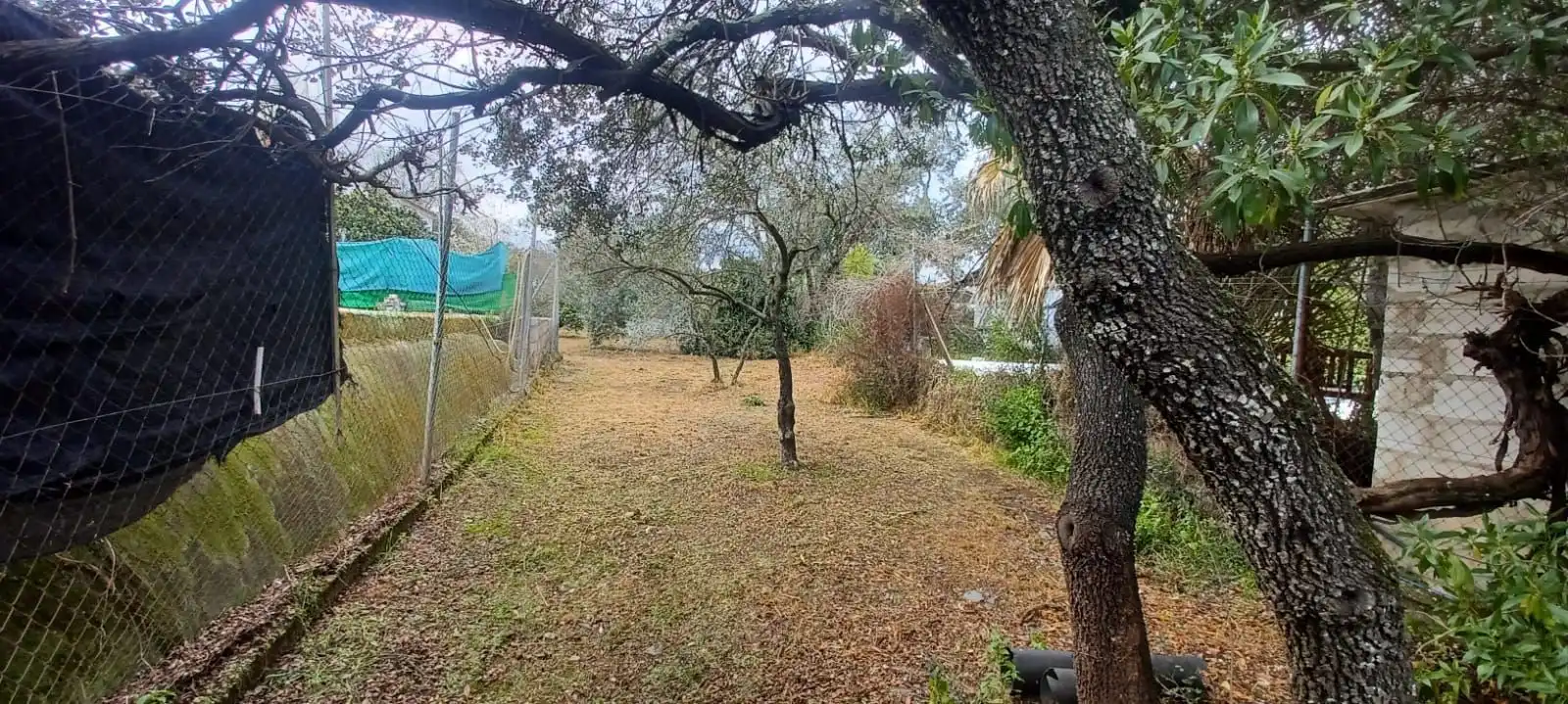 Haus zum Verkauf in Castilblanco de los Arroyos, imagen 38