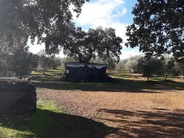 Terreny residencial en venda a Villanueva del Duque, imagen 6