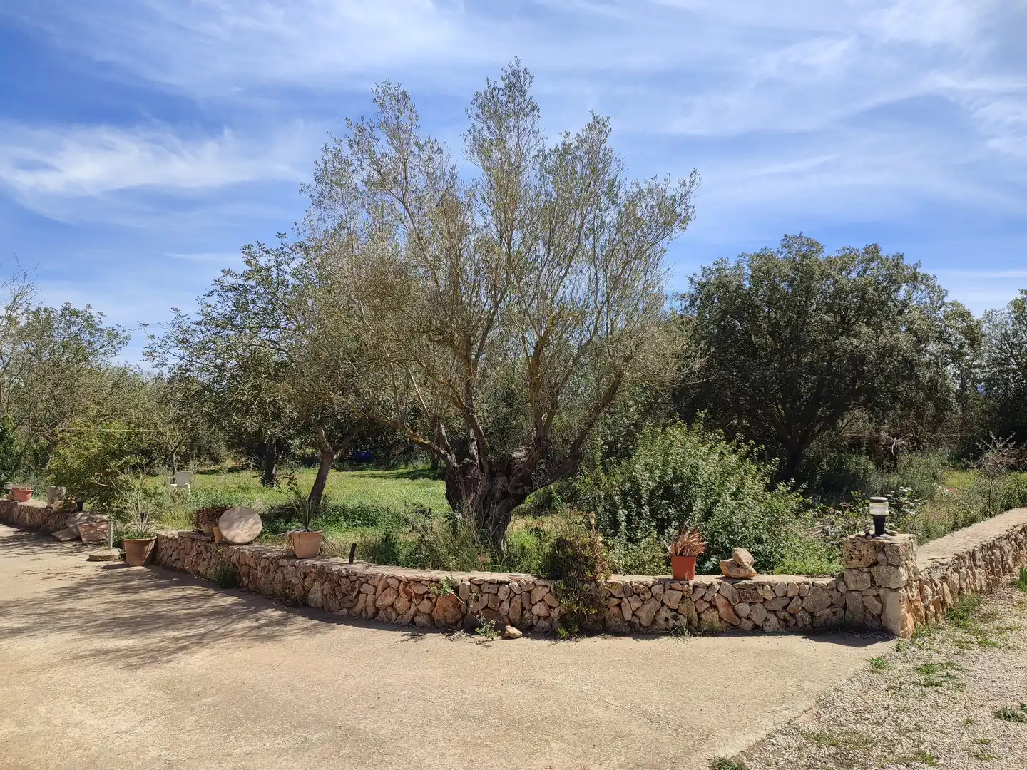 Maison rustique avec jardin à vendre à Felanitx Poble, imagen 17