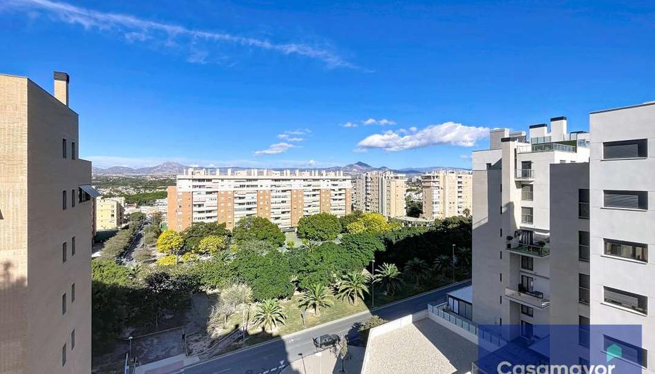 Photo 1 of Flat to rent in Carrer Científico Jaime Santana, 7, Playa de San Juan, Alicante