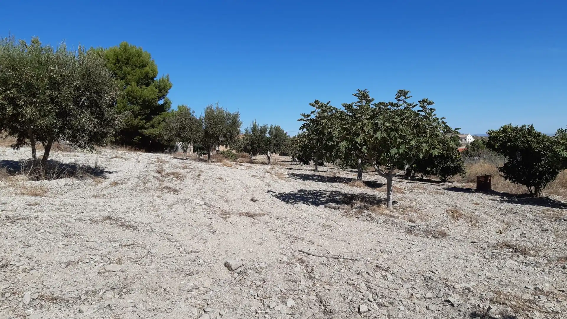 Casa con giardino in vendita a Pedanías Oeste, imagen 19