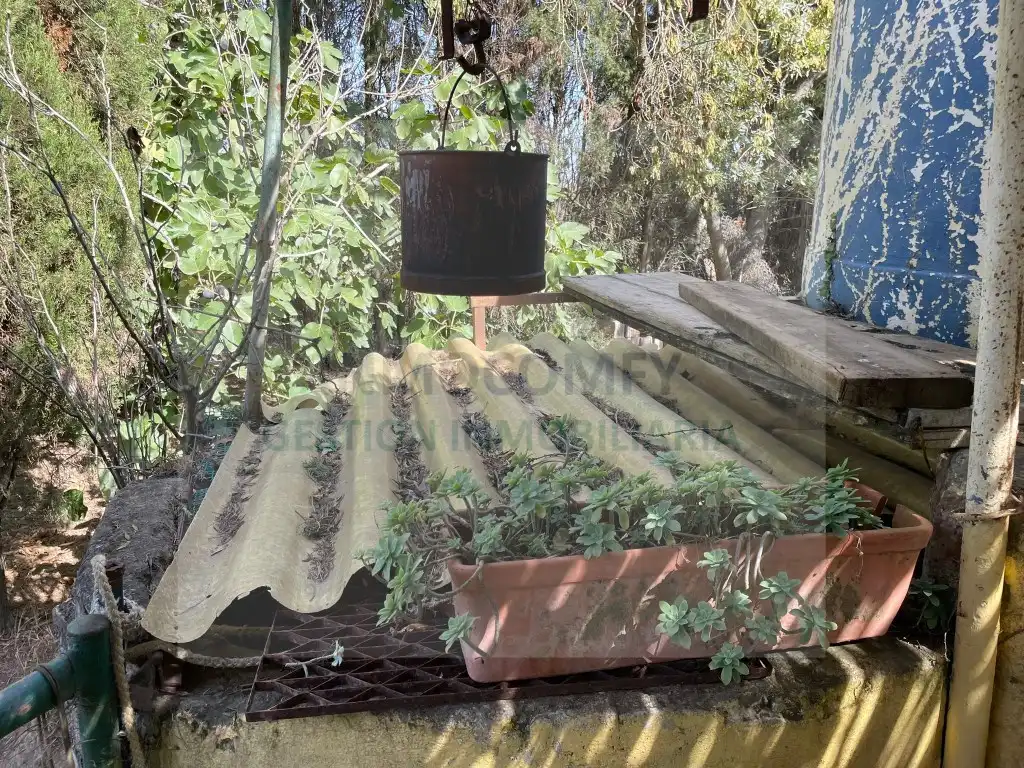 Rural land for sale in Calle Bordeta, imagen 9