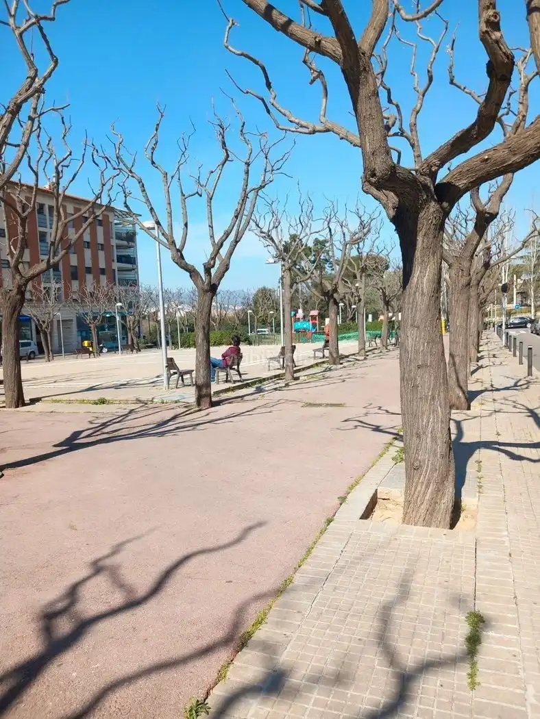 Business premises for sale in Torreblanca, imagen 23