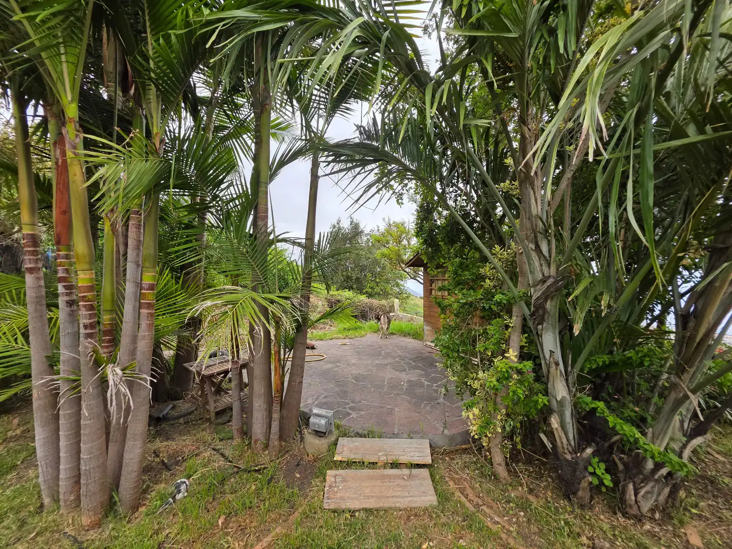 Exterior view of Houses for sale in La Orotava  with Private garden, Terrace and Storage room