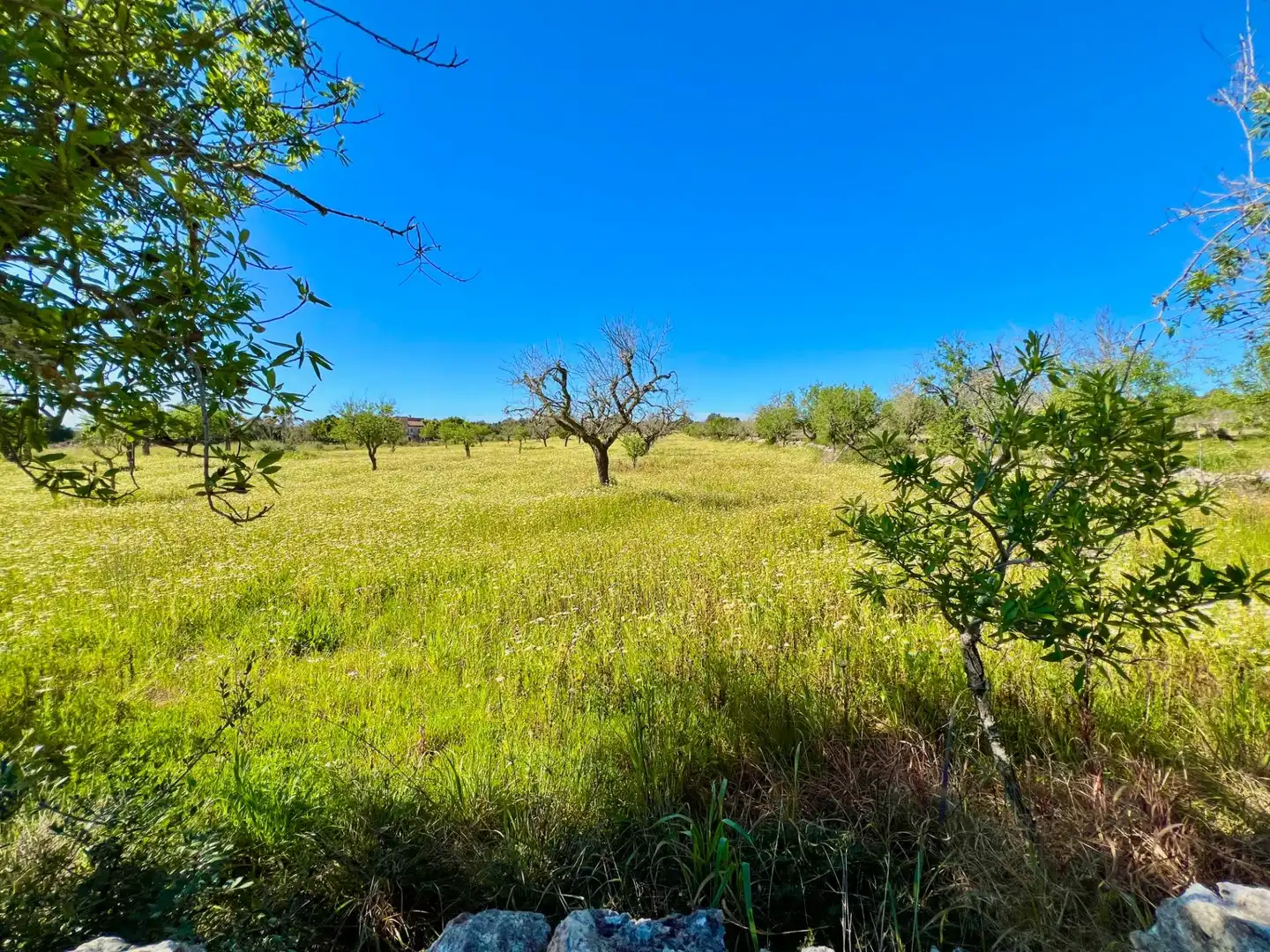 Residencial en venta en Santanyí