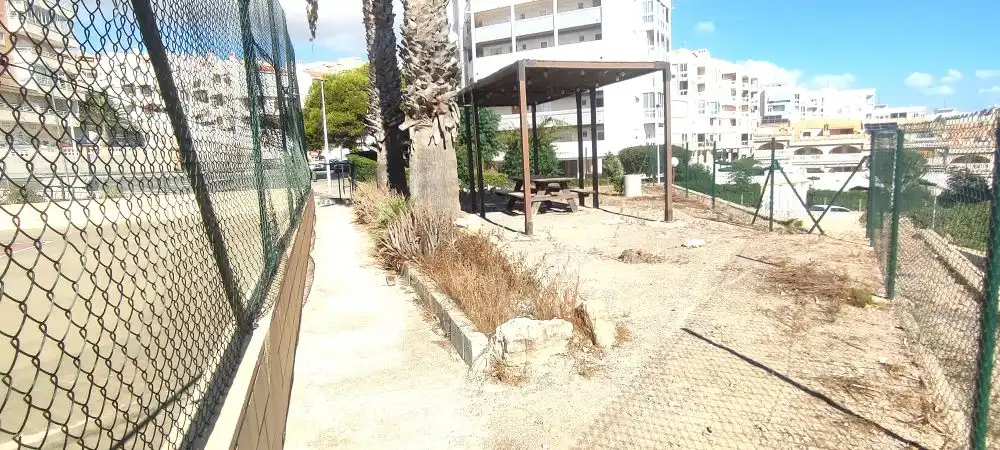 Piso con piscina en venta en Avenida San Bartolome Tir, imagen 37