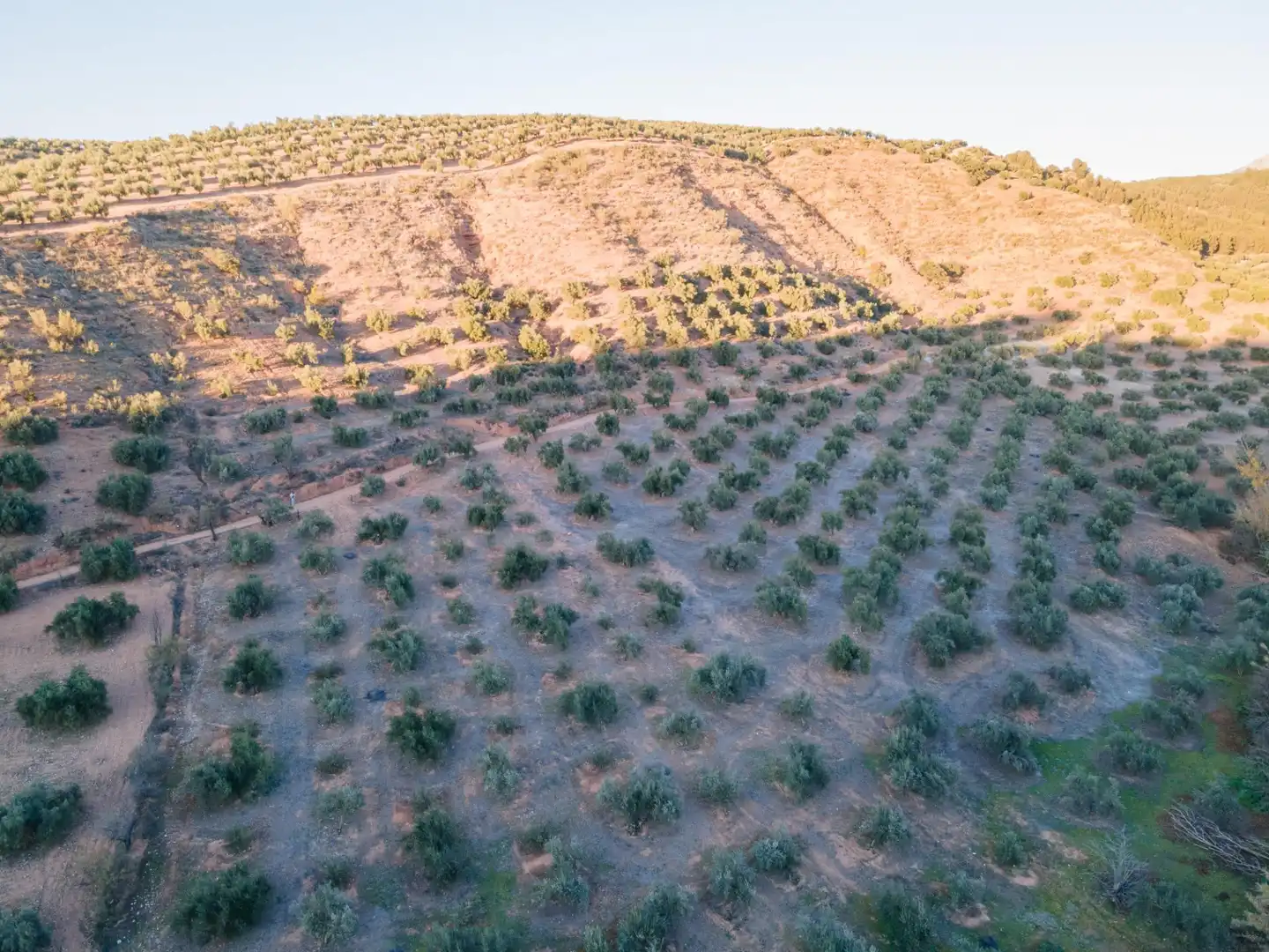 Terreno rustico in vendita a Calicasas, imagen 7