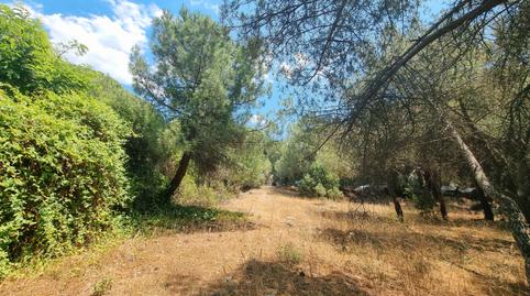 Foto 5 de Residencial en venda a Avenida de Sicilia, 44, Parquelagos - Puente Nuevo, Madrid