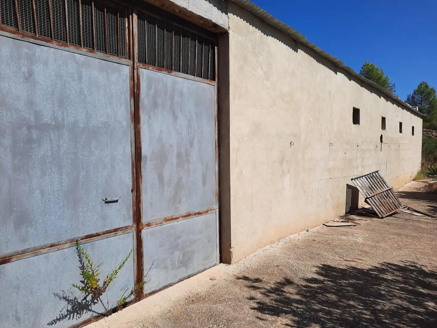Industrial buildings for sale in Turís