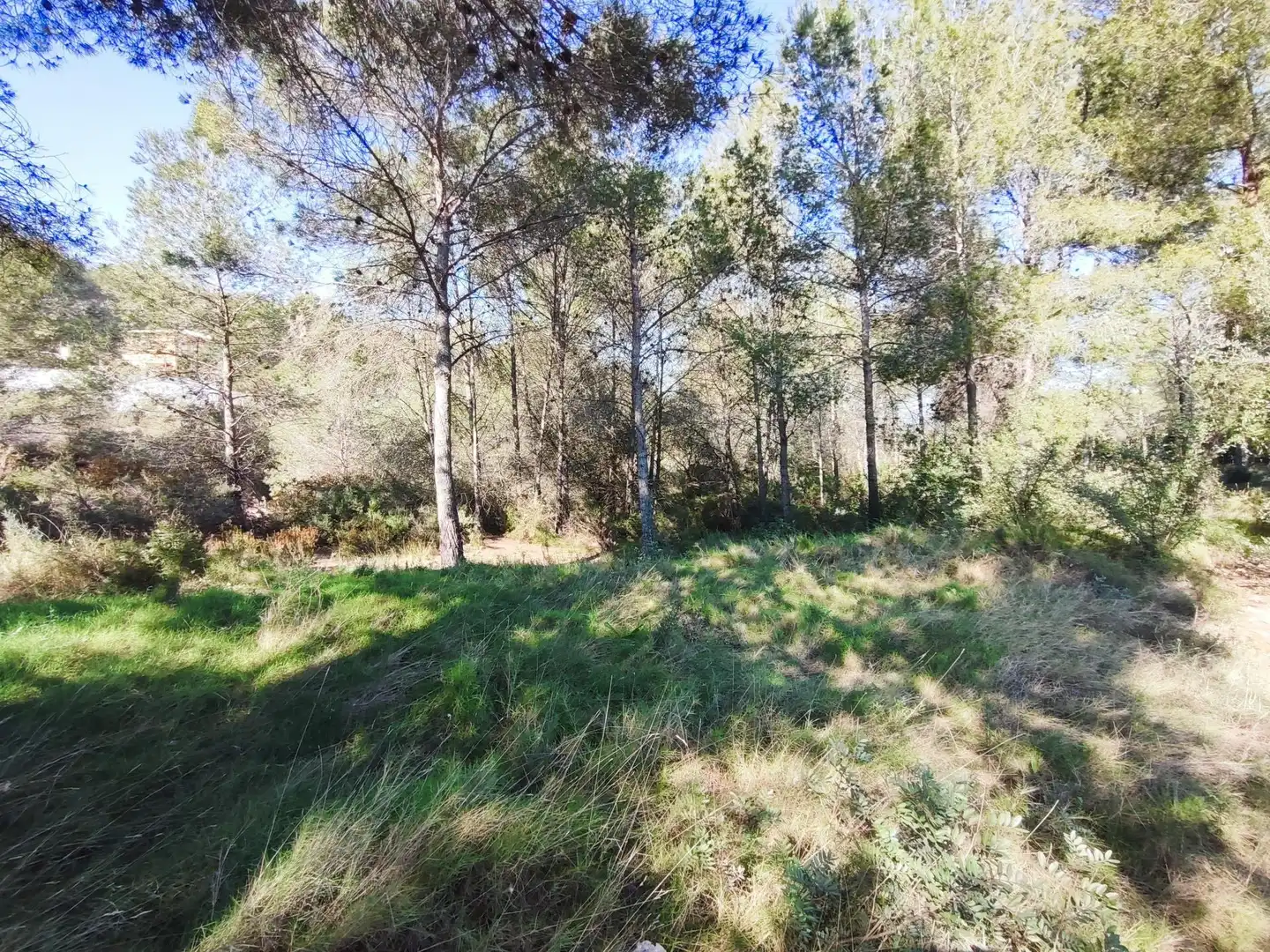 Terreno en venta en Alfara de la Baronia