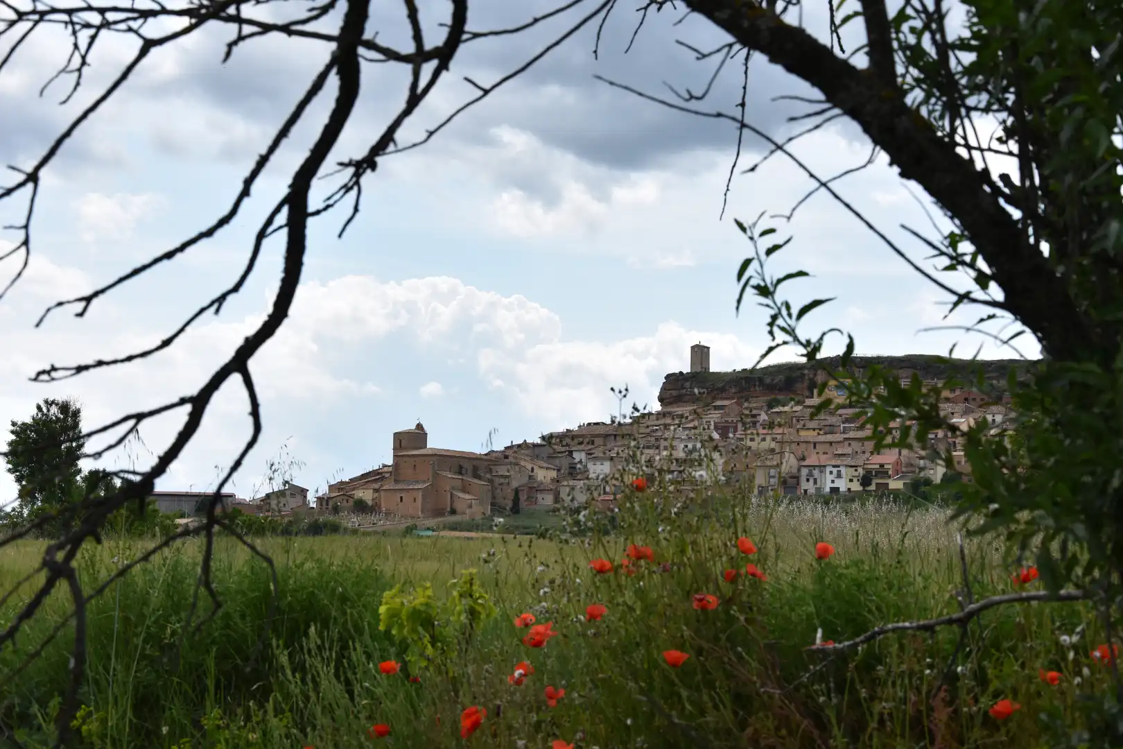 Terreni e lotti in vendita a Monroyo, imagen 5