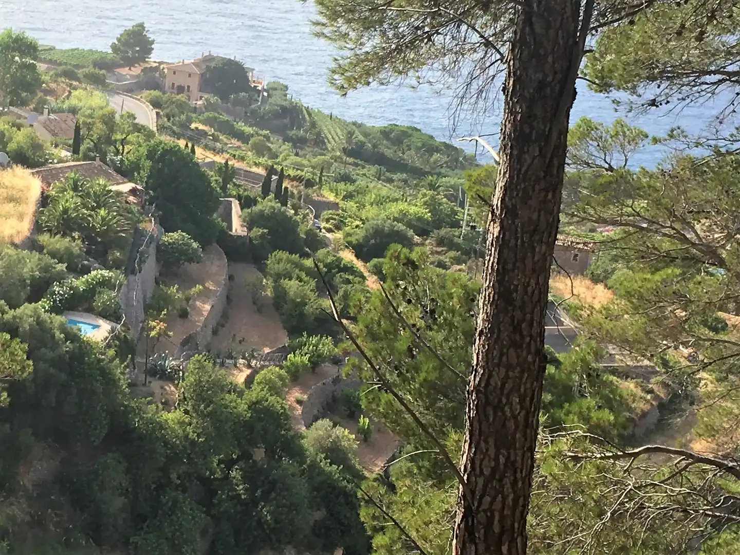 Vista exterior de Finca rústica en venta en Banyalbufar con Jardín privado, Terraza y Horno