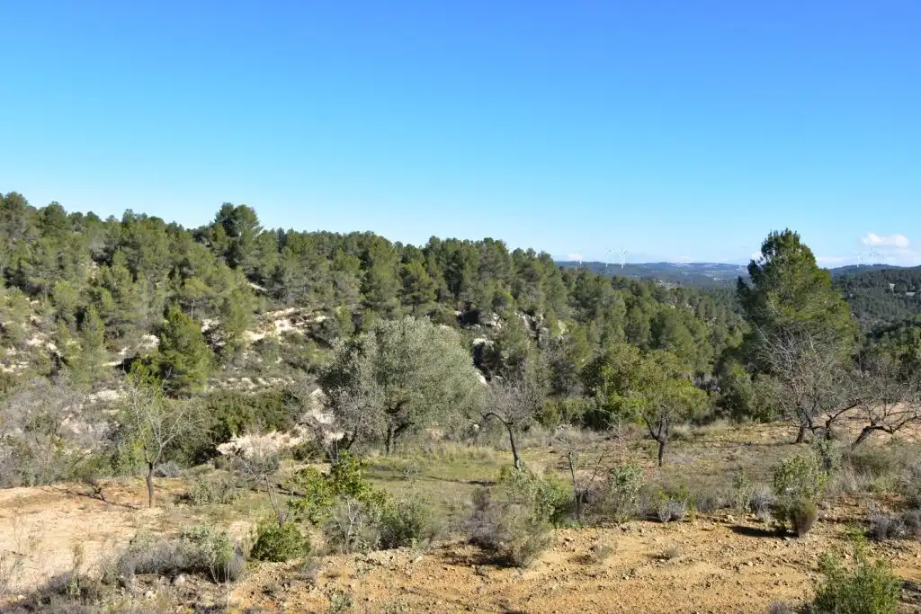 Finca rústica en venda en Arens de Lledó