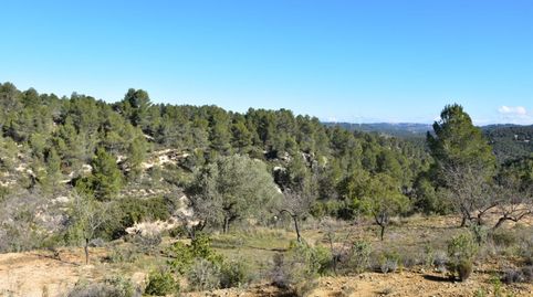 Photo 4 of Country homes for sale in Arens de Lledó, Teruel