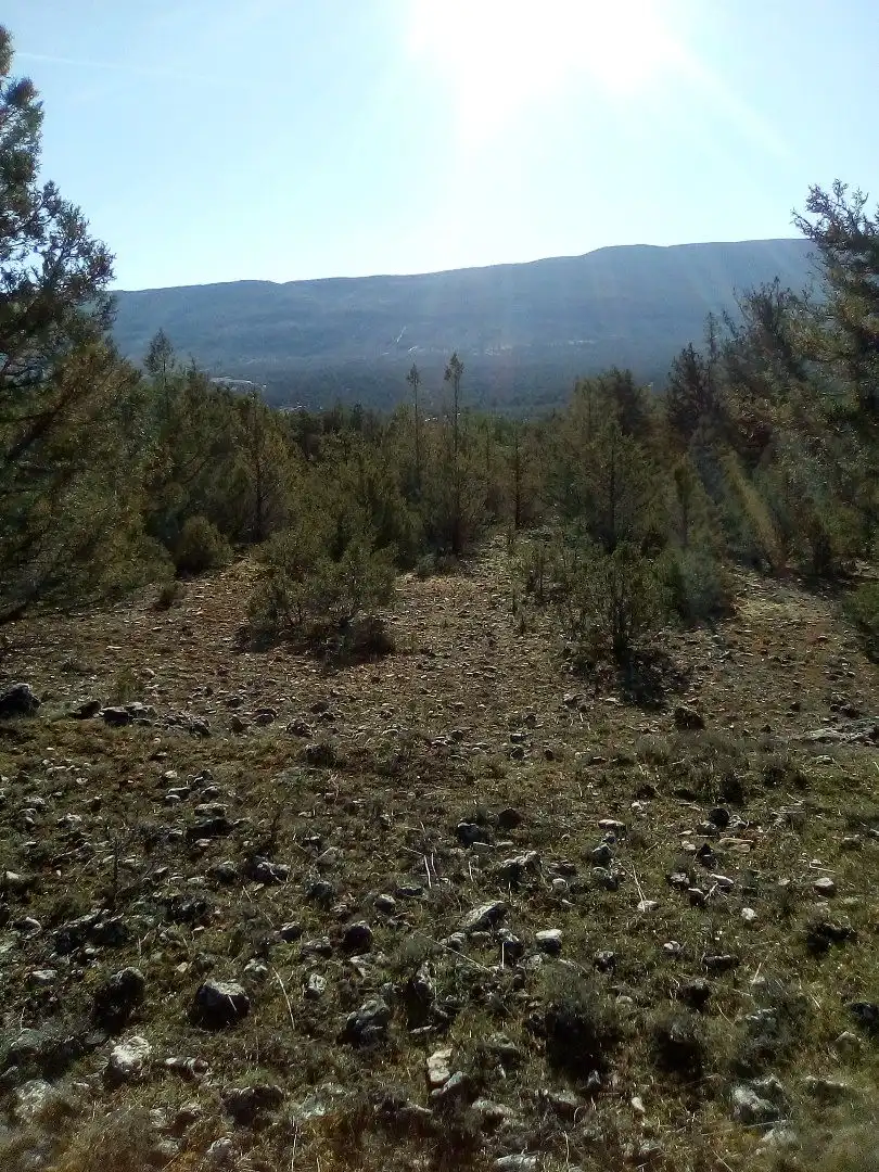 Terreno en venta en Casla