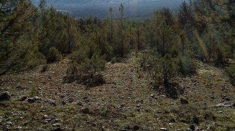 Photo 4 of Land for sale in Path Calle Mayor, 1, Casla, Segovia