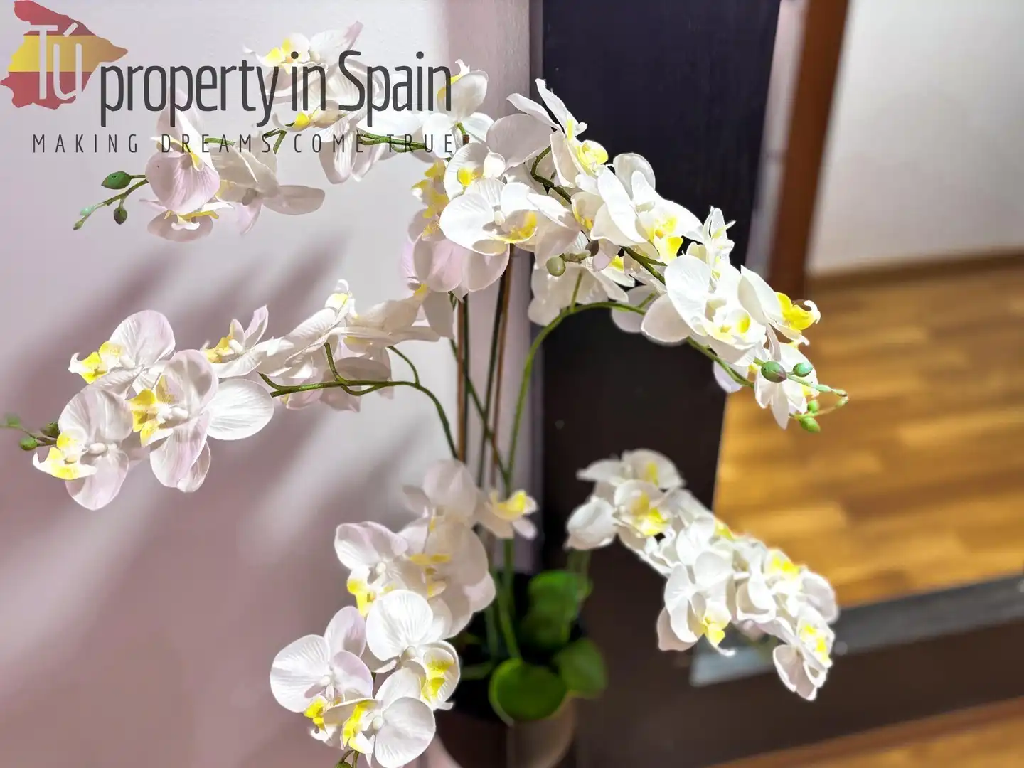 Room in ORIHUELA, Ciudad de Asís