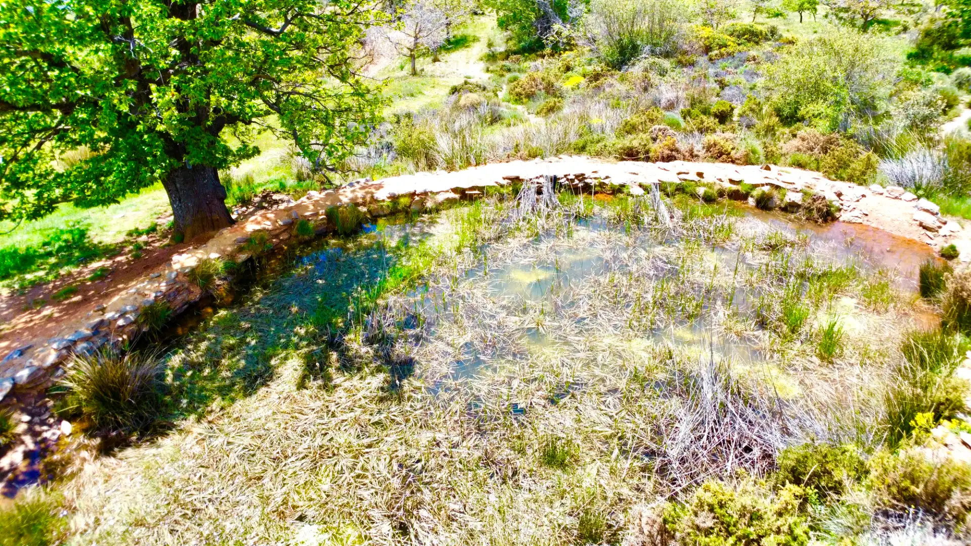 Terreni e lotti in vendita a Nevada, imagen 63