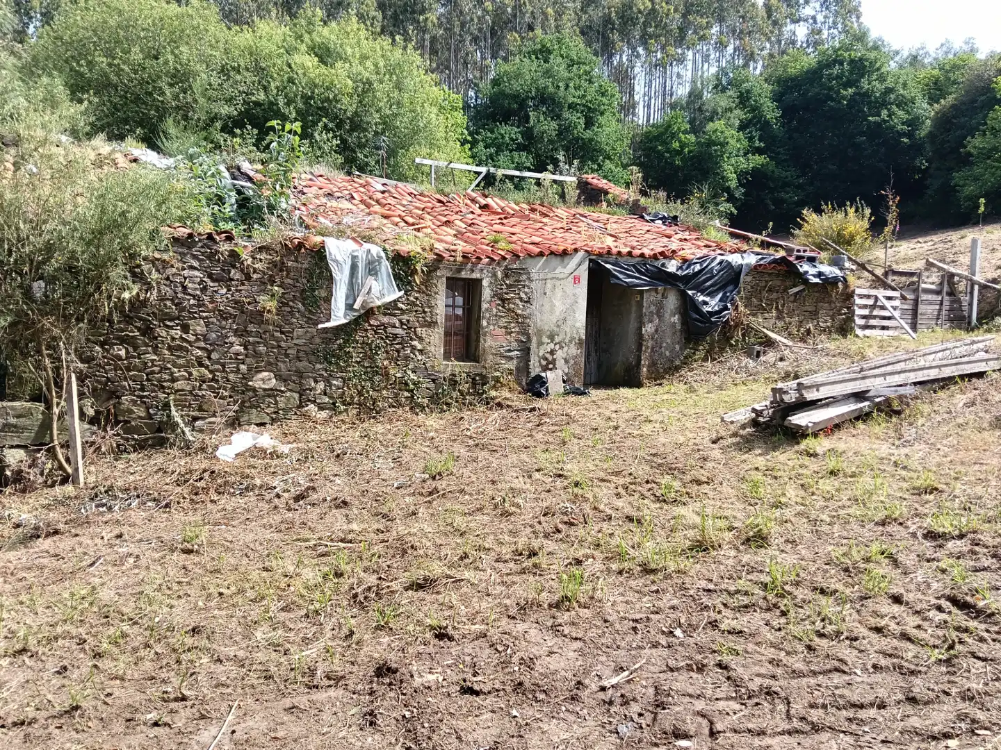 Maison avec jardin à vendre à Cesuras, imagen 6