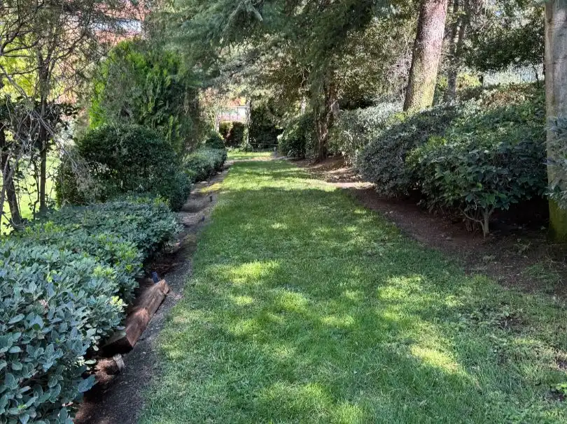 Jardí de Pis en venda en  Madrid Capital amb Aire condicionat, Terrassa i Piscina