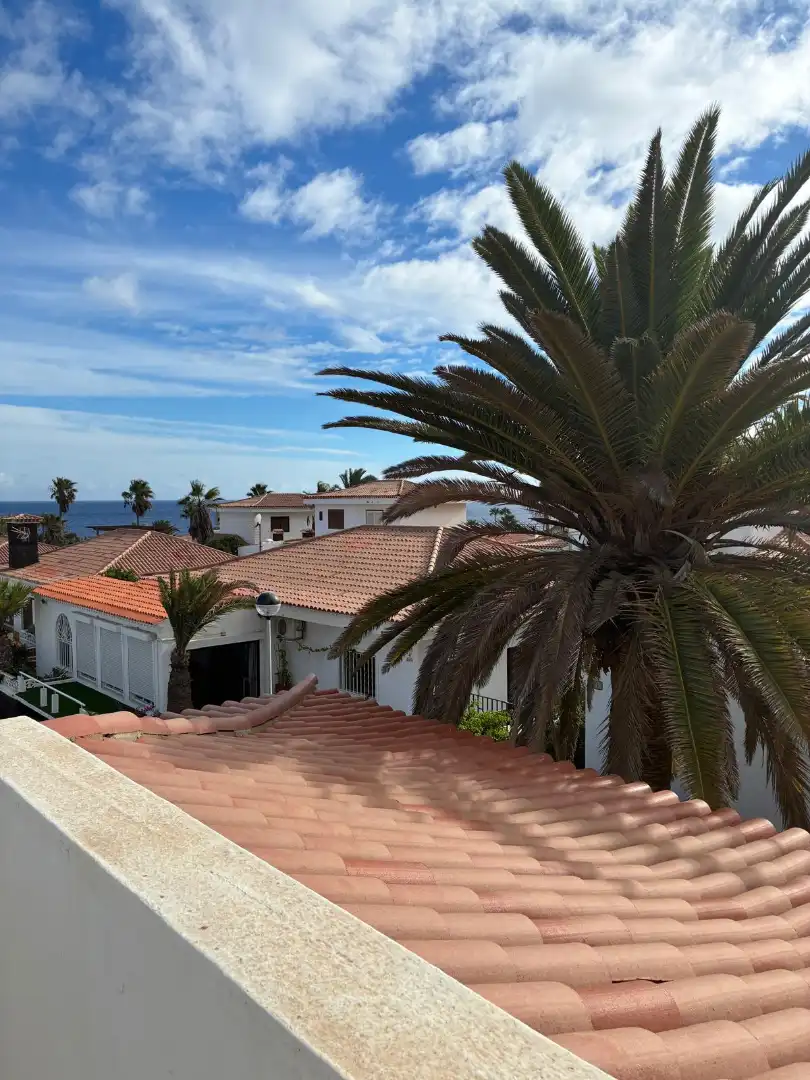 Bungalow amb piscina en venda a Calle Ulises 40, imagen 36