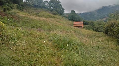 Foto 3 de Finca rústica en venda a N/a, 6a, Riosa, Asturias