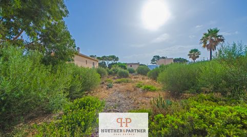 Foto 5 de Residencial en venda a Badia Blava - Badia Gran - Tolleric, Llucmajor