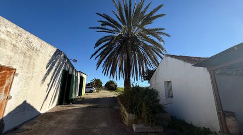 Foto 3 von Country house zum Verkauf in Arcos de la Frontera, Cádiz