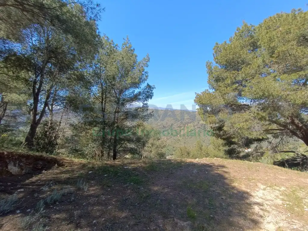 Terreno rustico in vendita a Diseminados Diseminados, imagen 4
