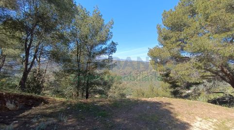 Finca rústica en el pueblo de Guaro., immagine 4