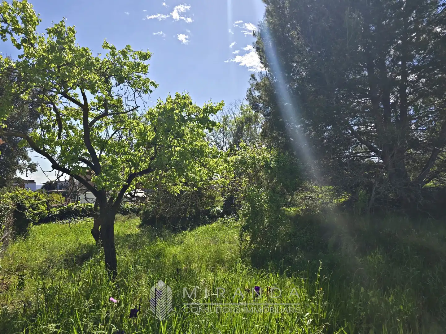 Residential land for sale in Carrer de l'Olivera, imagen 7