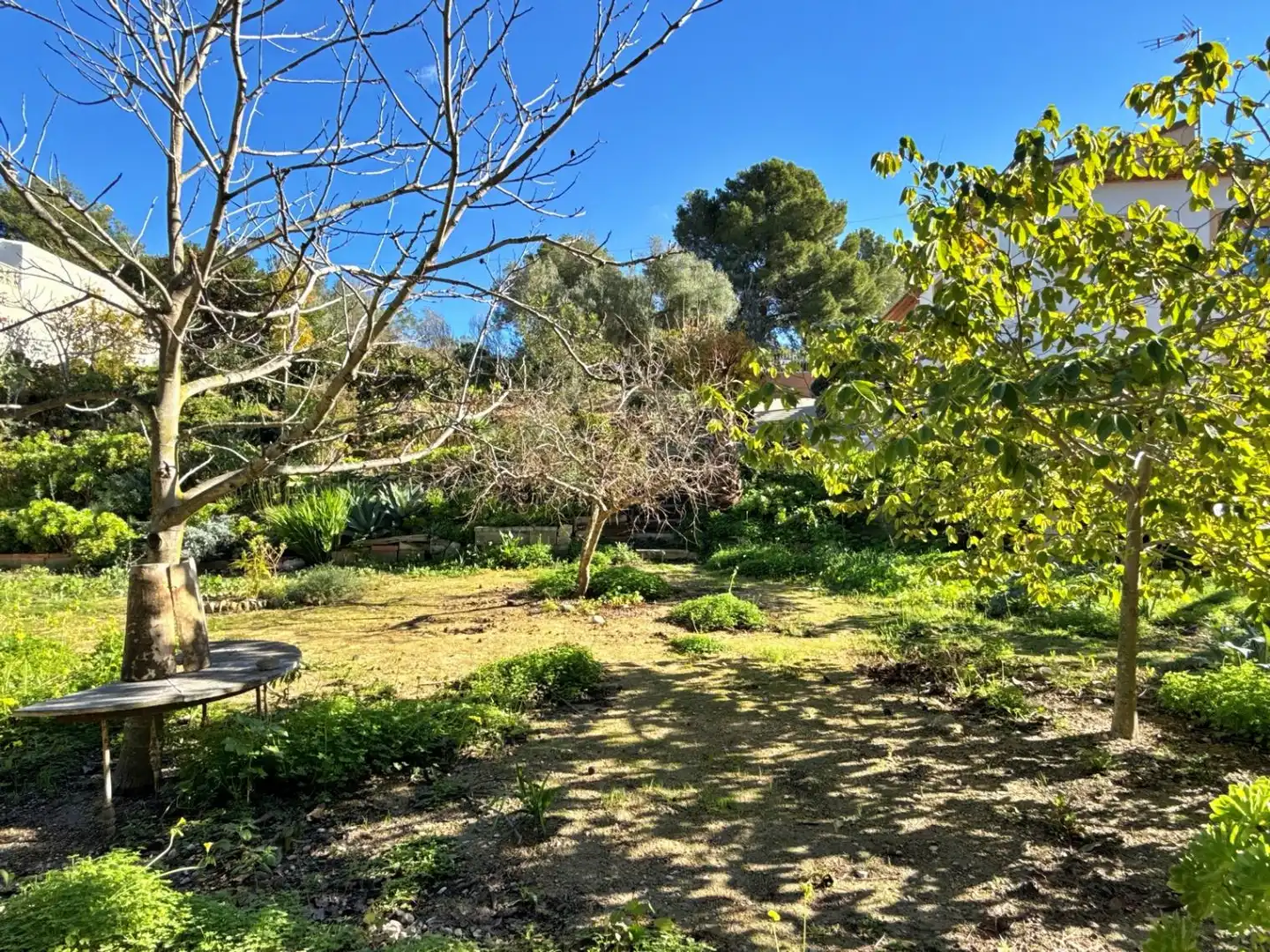 Villa con piscina in vendita a La Viña - Montemar - San Jaime, imagen 38